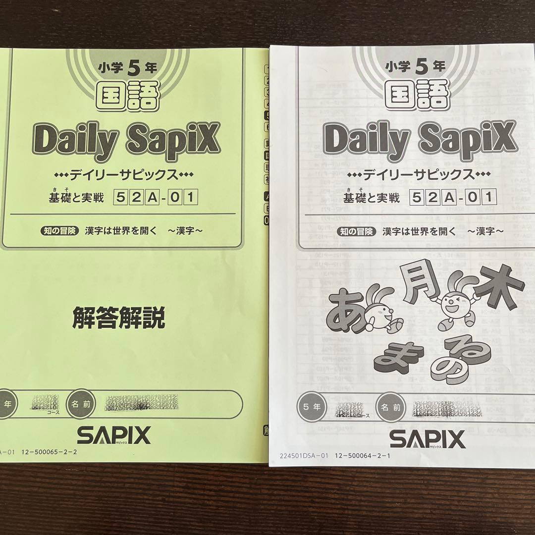 SAPIX サピックス　国語　5年