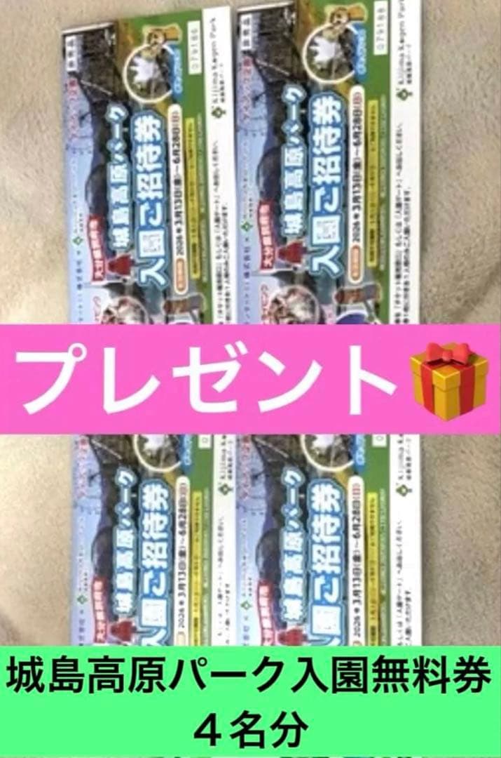 【送料込】Nintendo Switch あつまれ どうぶつの森セット 本体あり