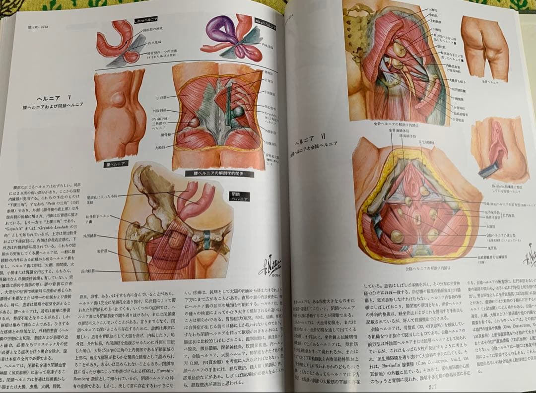 ⭐︎医学生理図譜集 消化器編 (I) & (II)⭐︎