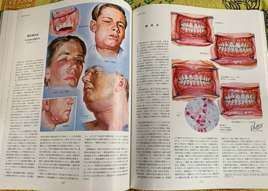 ⭐︎医学生理図譜集 消化器編 (I) & (II)⭐︎