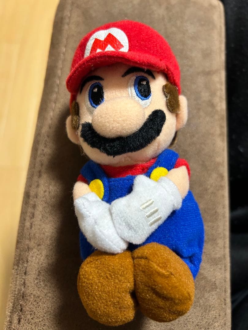 マリオサンシャイン　ぬいぐるみ