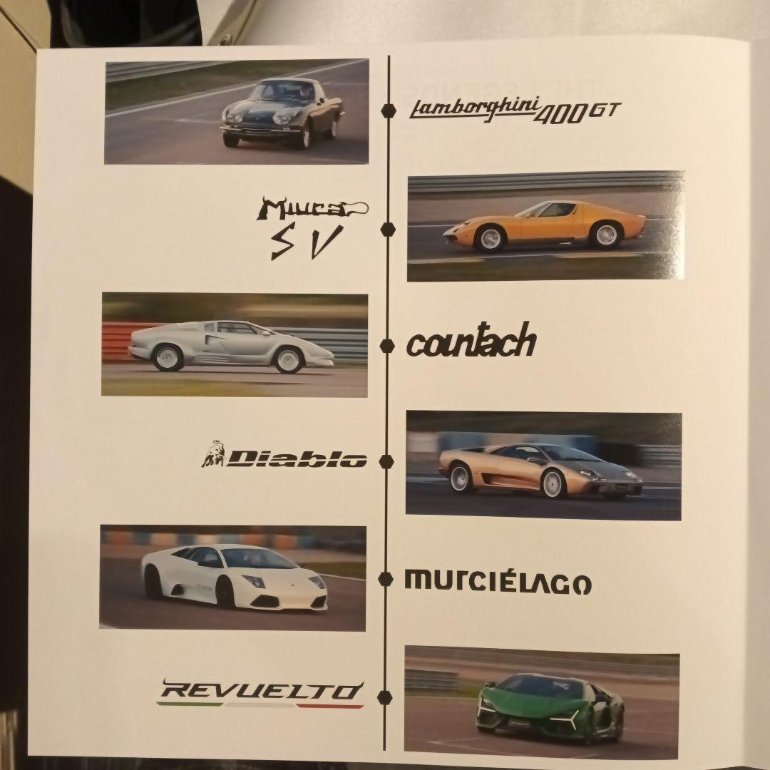 Technicsランボルギーニコラボエンジン音ピクチャーレコード非売品