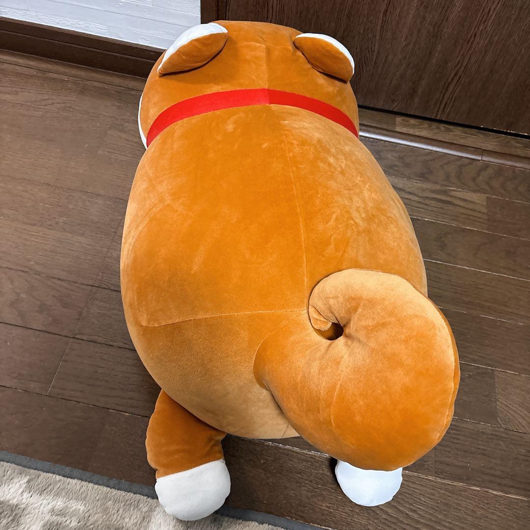 【期間限定価格】ハッピーまめしば 特賞