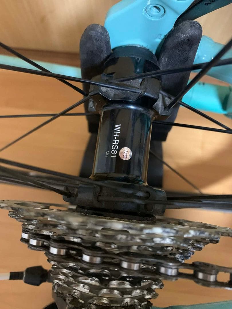 タコ　BIANCHI ビアンキ カメレオンテ チェレステカラー