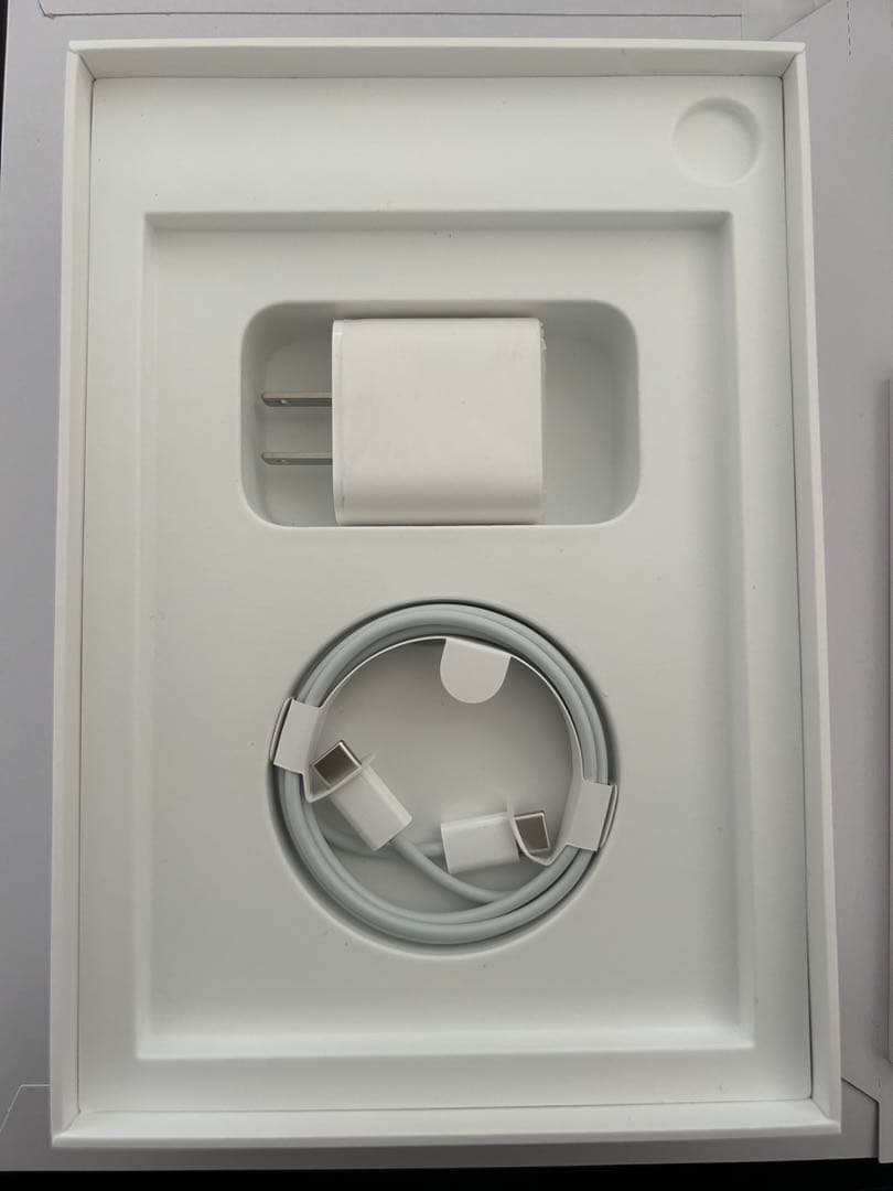 (美品)iPad mini (第6世代) 256GB Wi-Fi