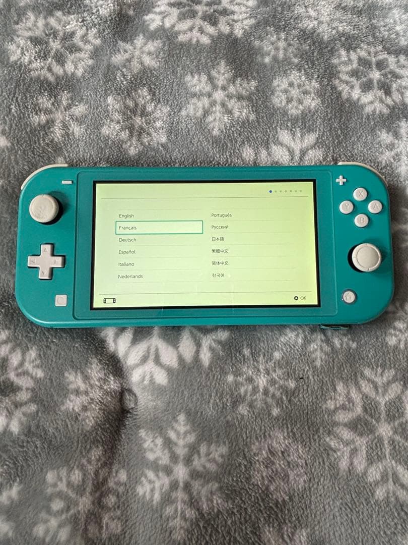 Nintendo Switch Lite モンスターハンターライズ＆SDカード