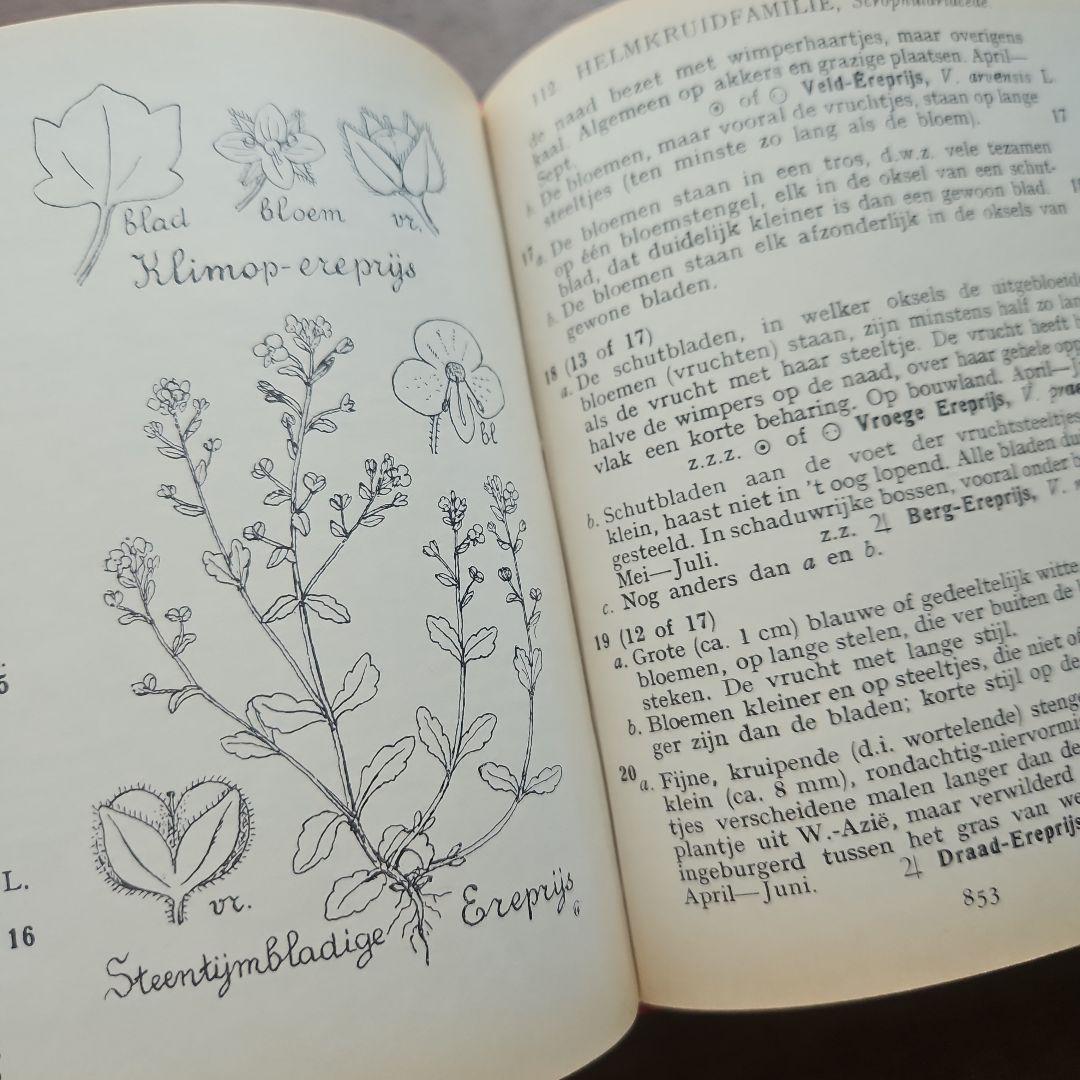 洋書　アンティーク　花図鑑 オランダ植物図鑑