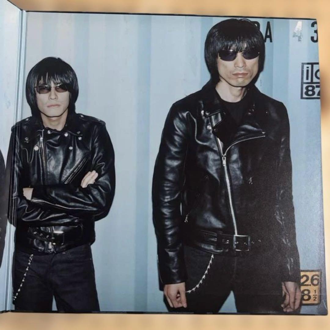 ミッシェルガンエレファント　12inch レコード