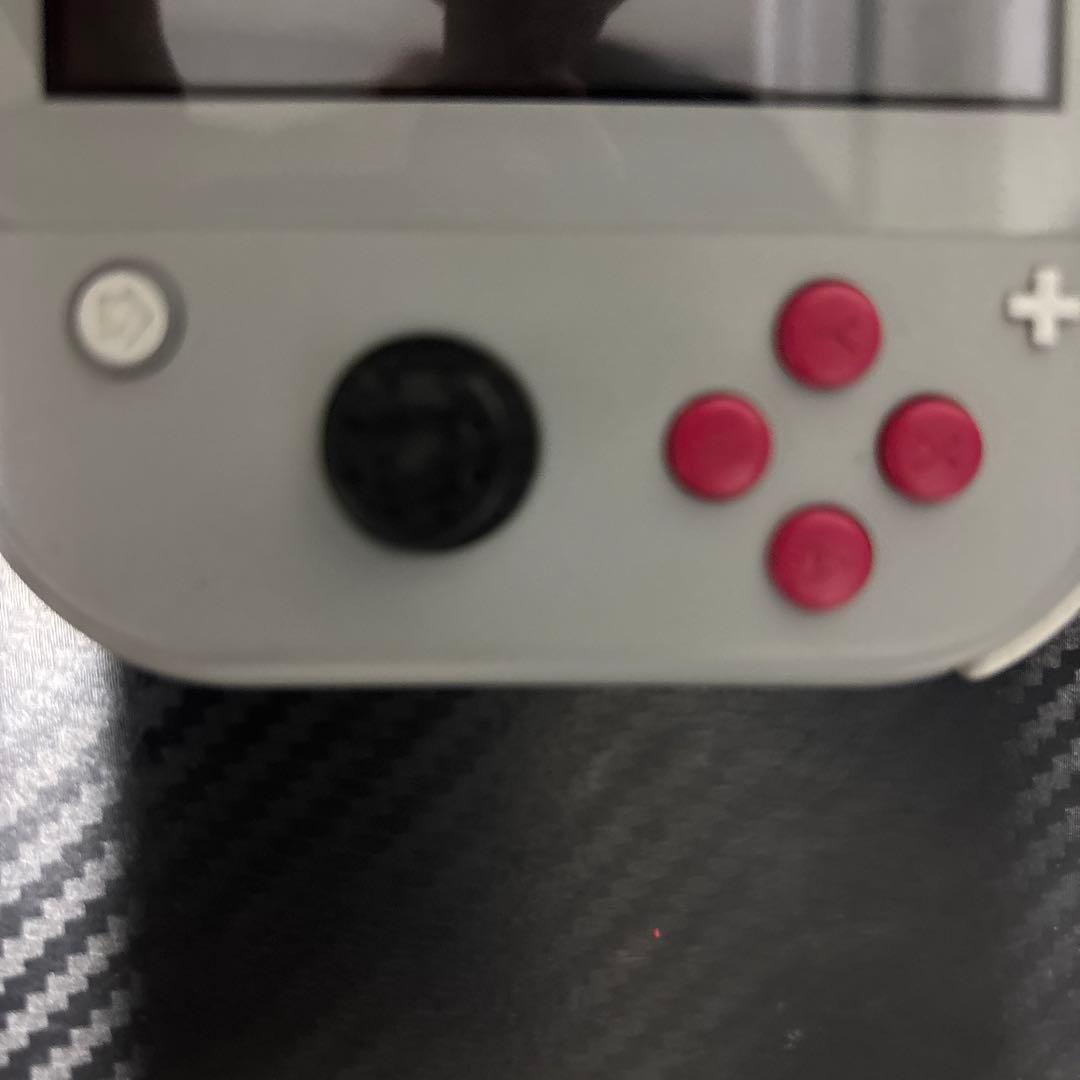 Nintendo Switch Lite グレー キャラクターイラスト入り