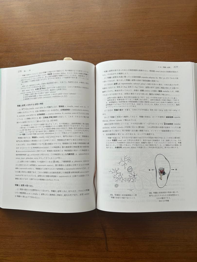解剖実習の手びき 改訂11版