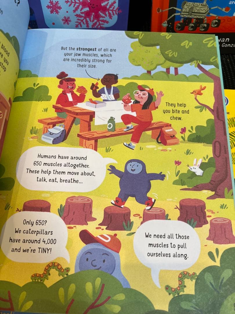 英語絵本　Lots of things to know about シリーズ5冊