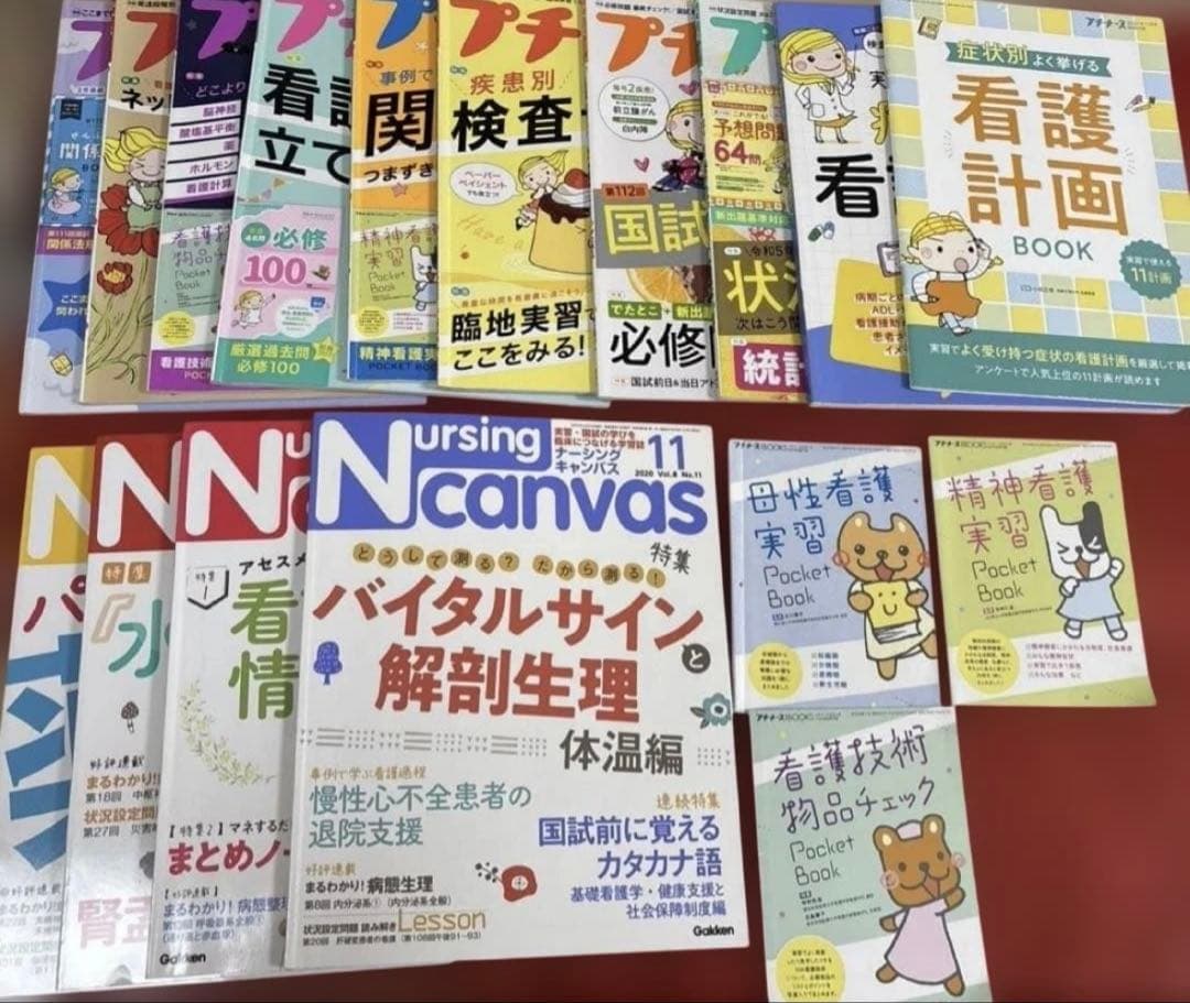 看護 実習セット 国試 アセスメント、関連図、プチナース 情報収集 他