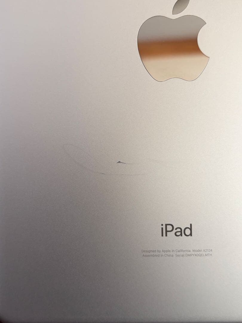 【セール】iPad mini 5 256GB SIMフリー　非純正ペン&カバー付