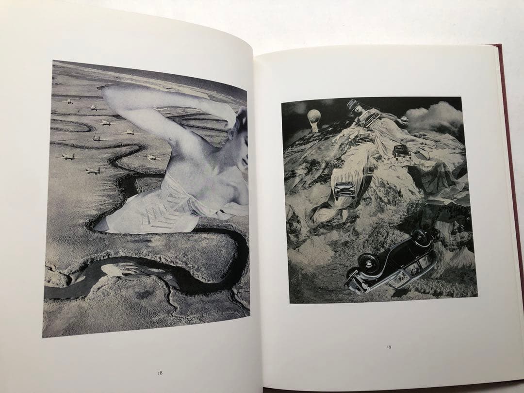 ね*り様 OROP OF DREAMS 洋書　写真集