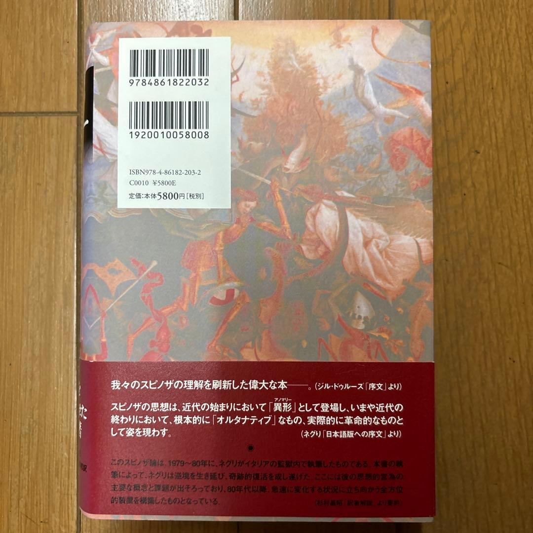 野生のアノマリー スピノザにおける力能と権力