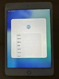 iPad mini第5世代シルバー256GB　セルラーモデル（楽天モバイルOK）
