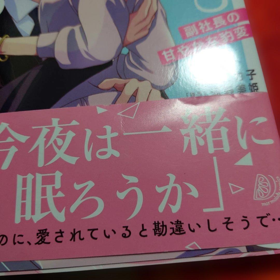 溺愛も契約のうちに入りますか?～副社長の甘やかな豹変～ 　全2巻完結セット