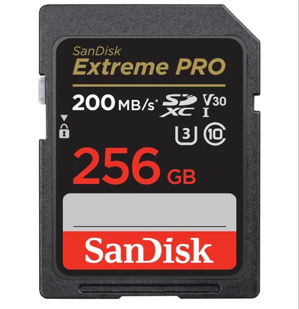 Panasonic LUMIX TZ99デジタルカメラ＆SDカード＆カメラケース