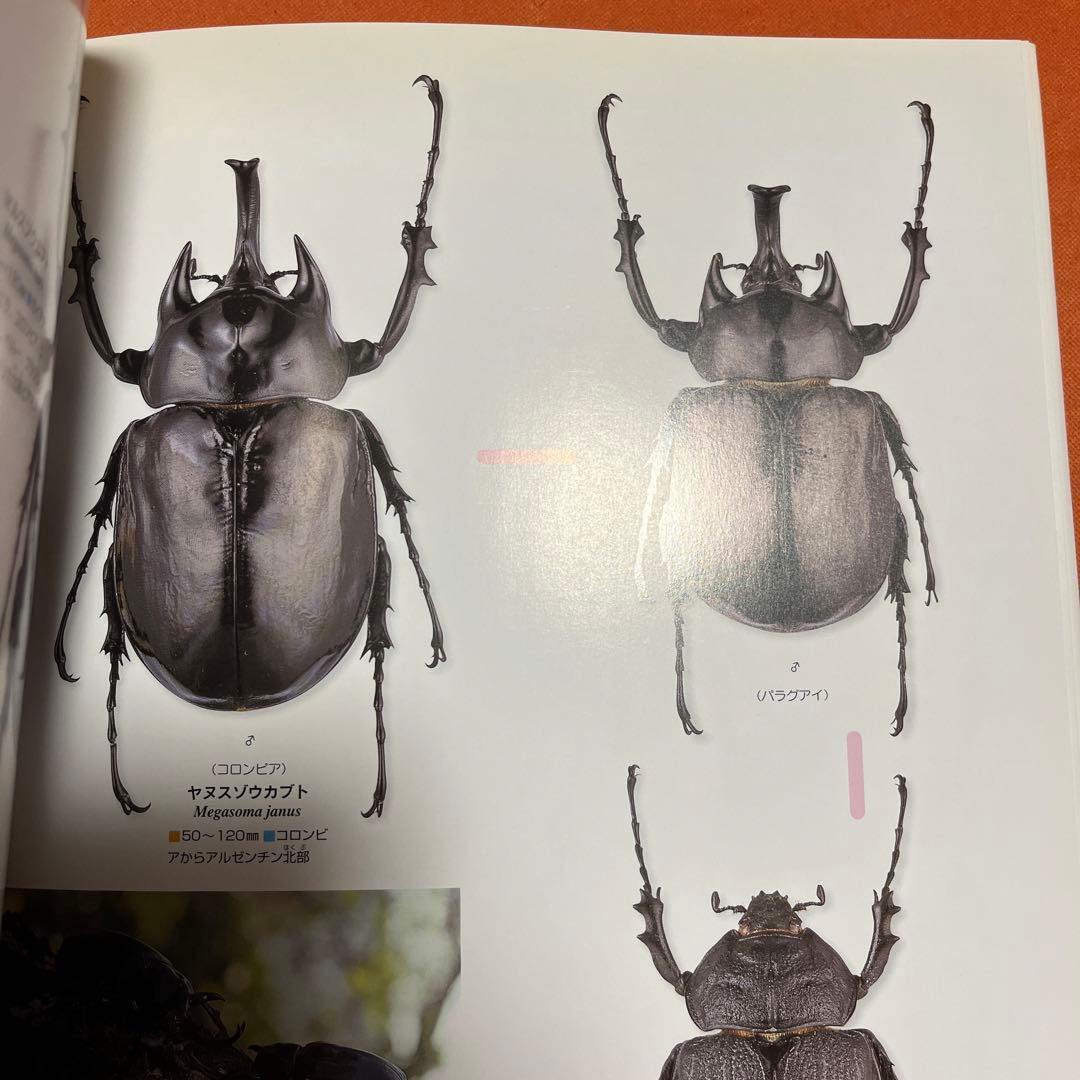 【未使用・即日発送】学研の図鑑 12冊セット