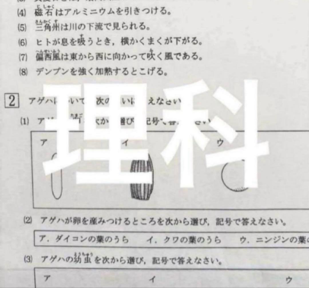 浜学園　小6 最新版　2025年　公開学力テスト4科目　国語、算数、理科、社会