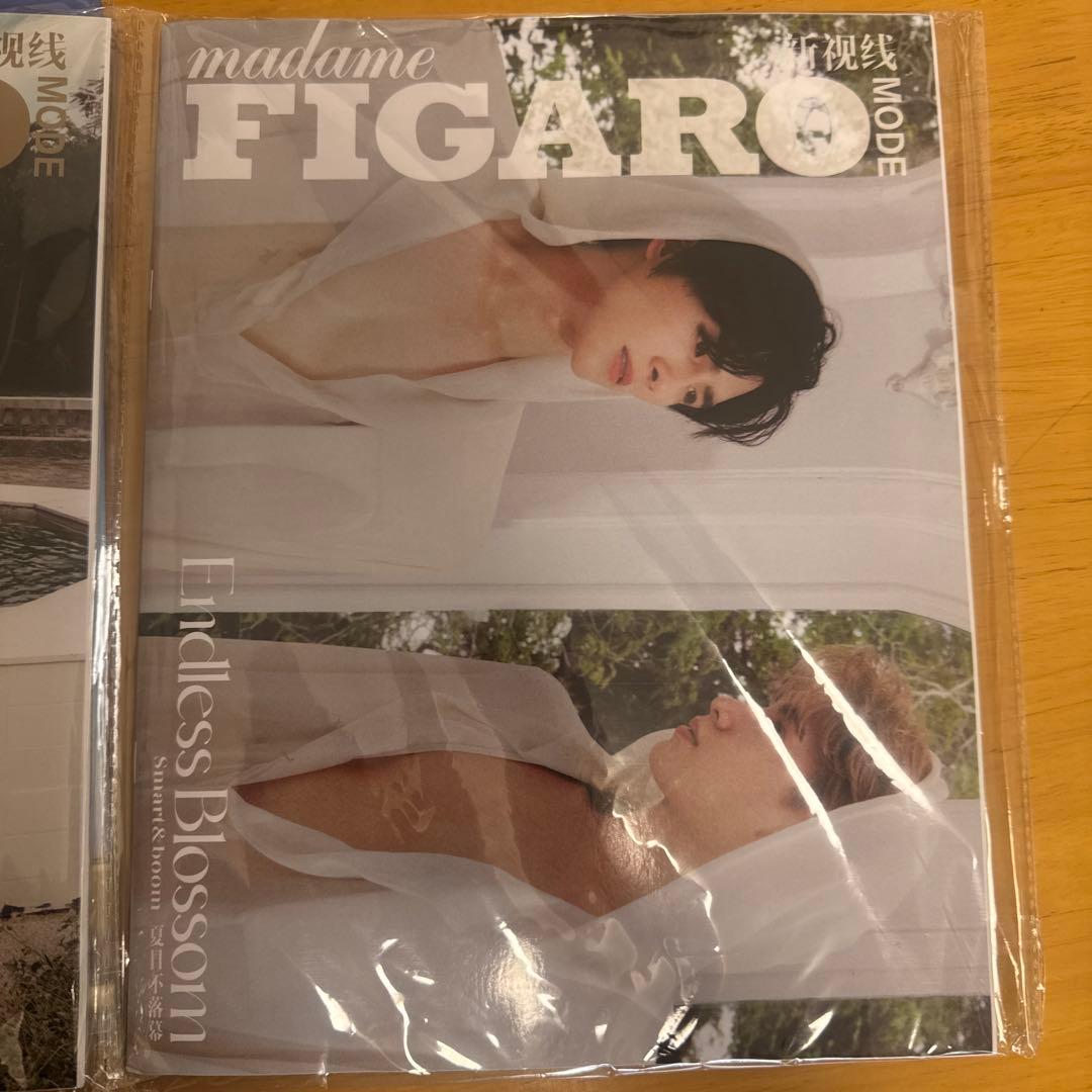 SmartBoom 雑誌3冊 特典カード付