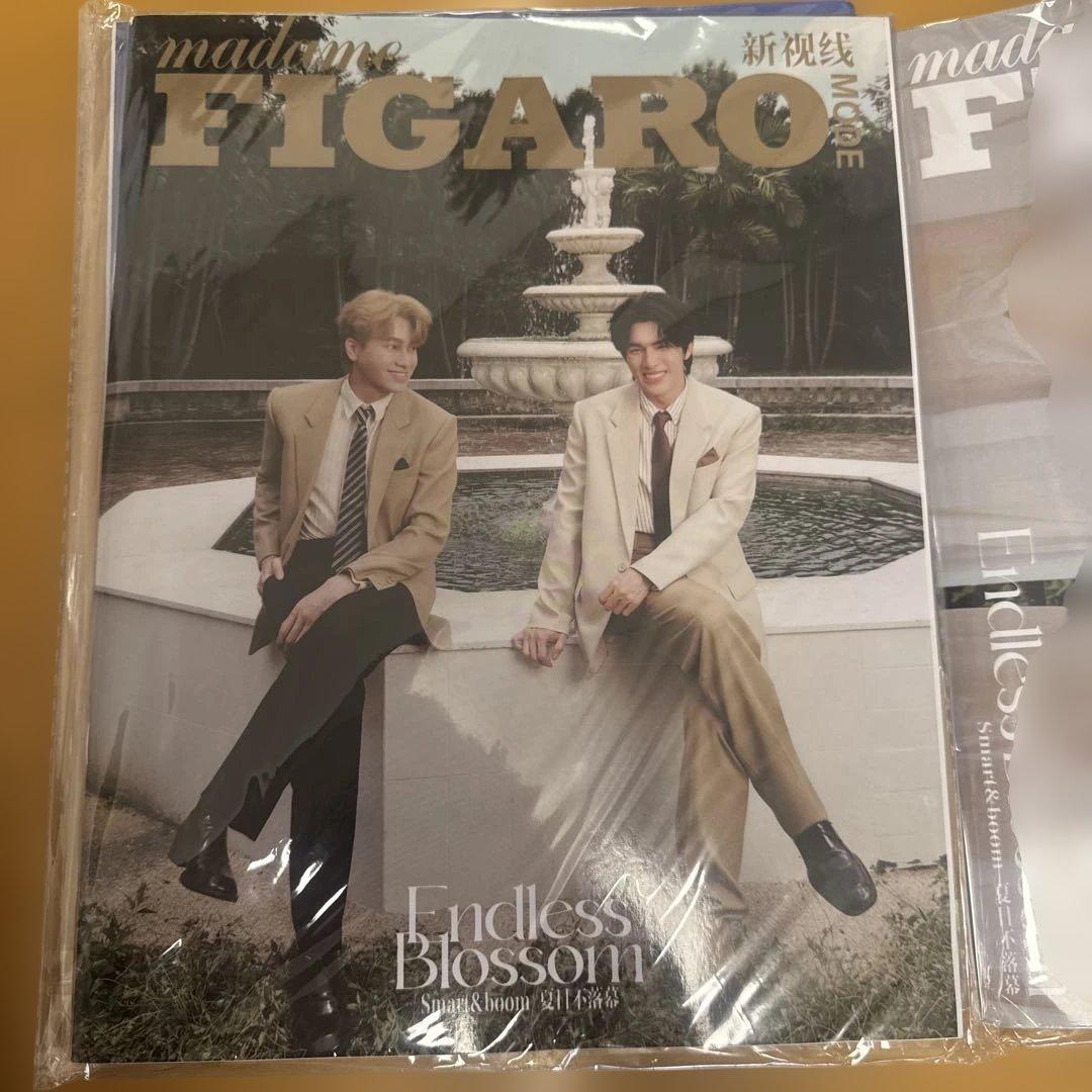 SmartBoom 雑誌3冊 特典カード付