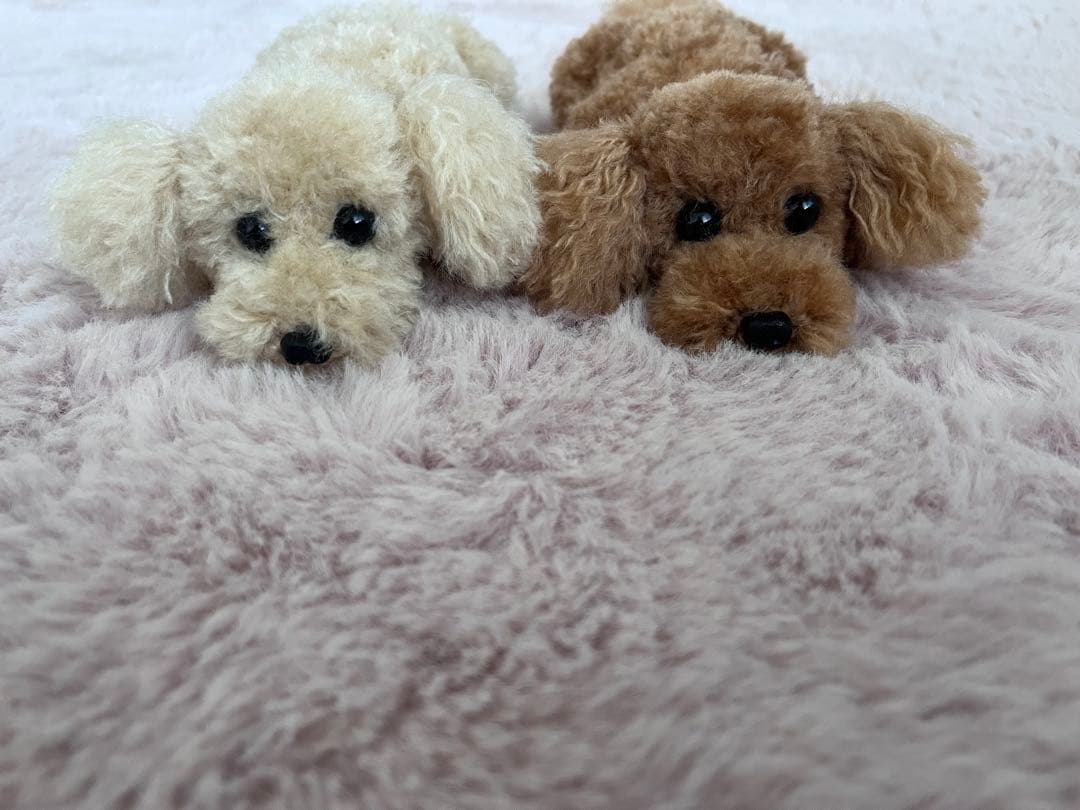 himagon トイプードル編みぐるみ（植毛）　犬 【伏せポーズ】