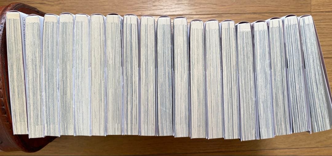 いじめるヤバイ奴　1-19 全巻セット　中村なん