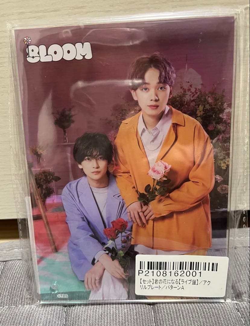 君の花になる～Let's 8LOOM LIVE TOUR
