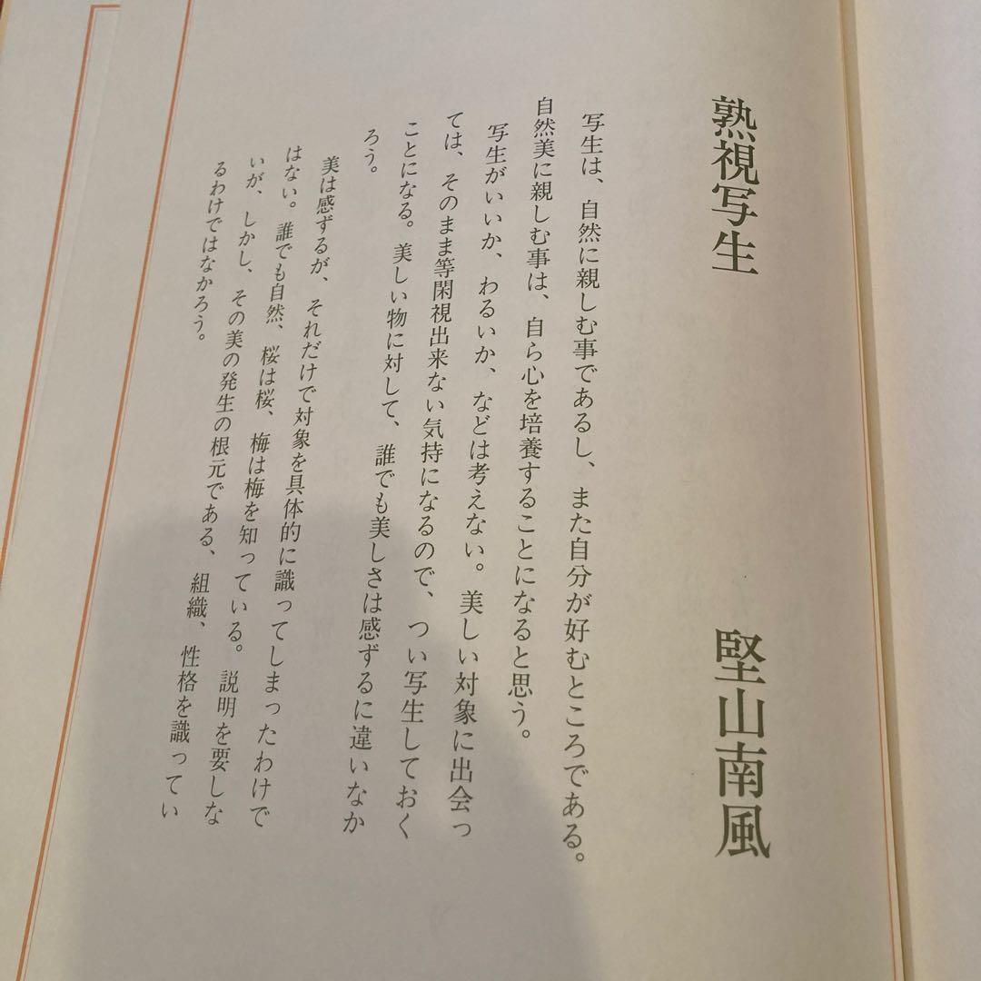 堅山南風素描　花