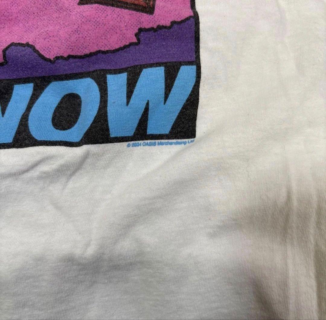 Mountainhwear oasis te サンシェイドキャップ large
