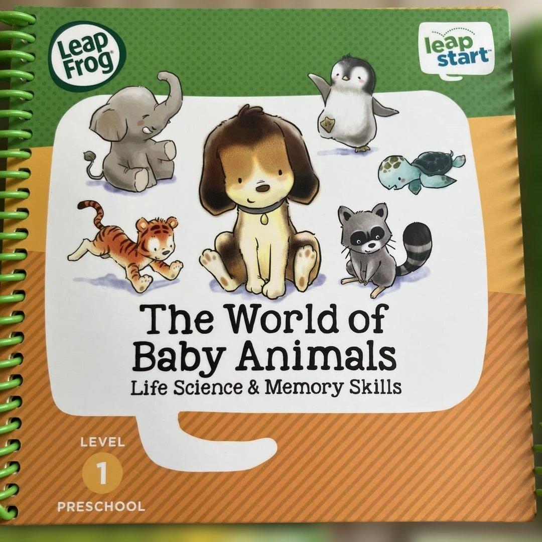 【専用MCママ様】LeapStart® Level1 Book5冊
