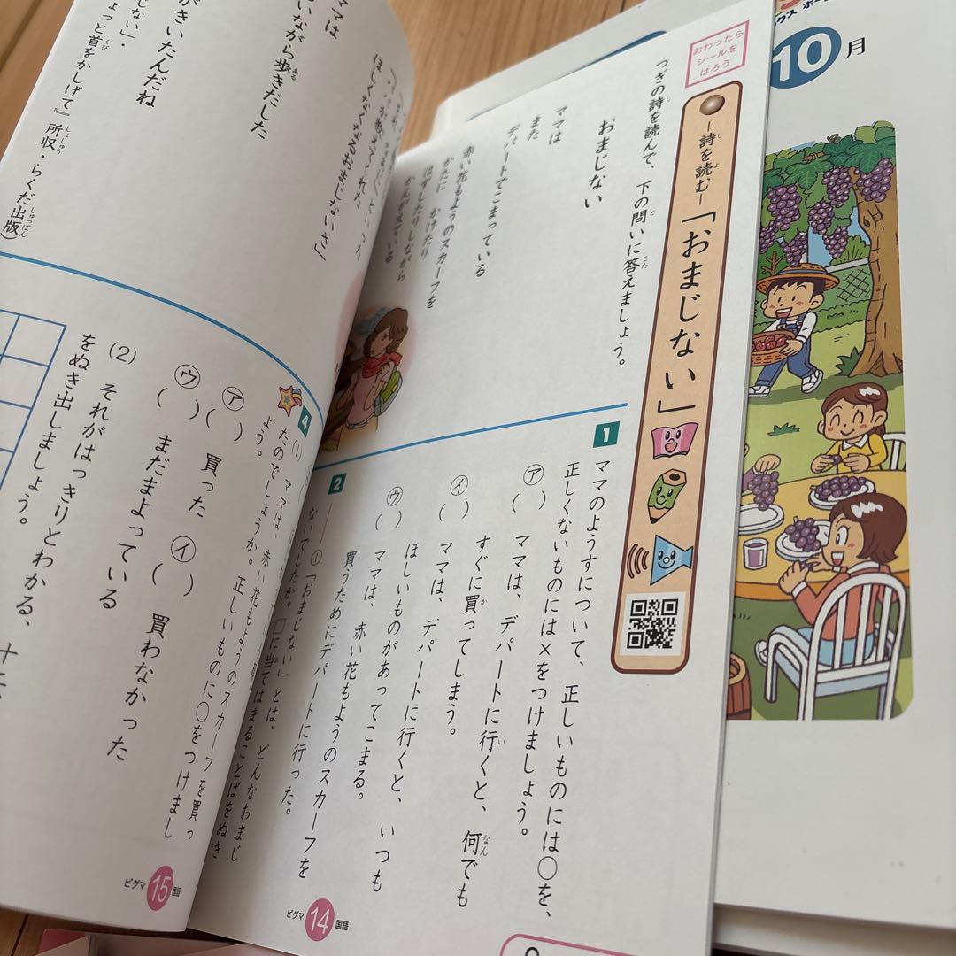 sapixの通信教材ピクマ小2用