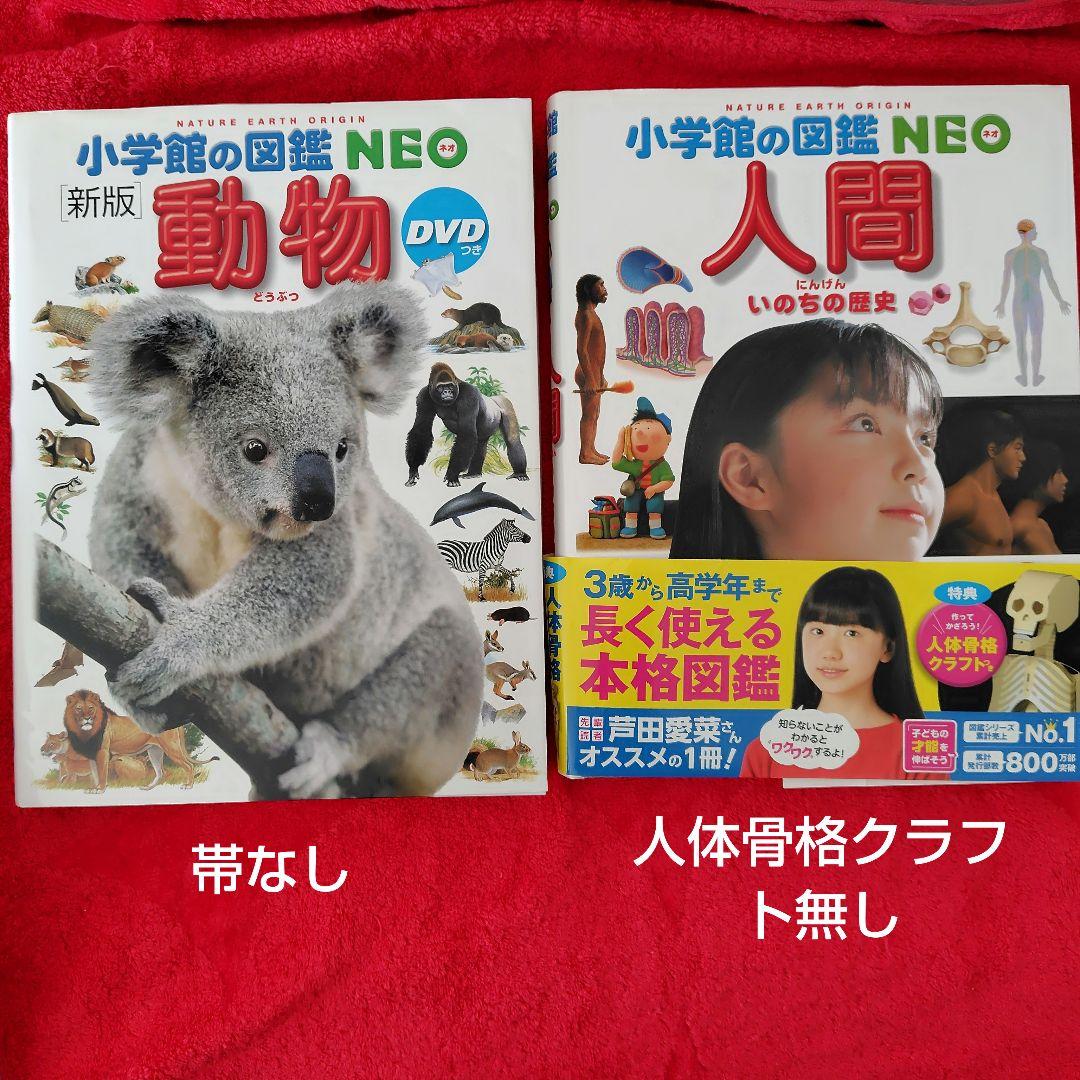 図鑑8冊セット