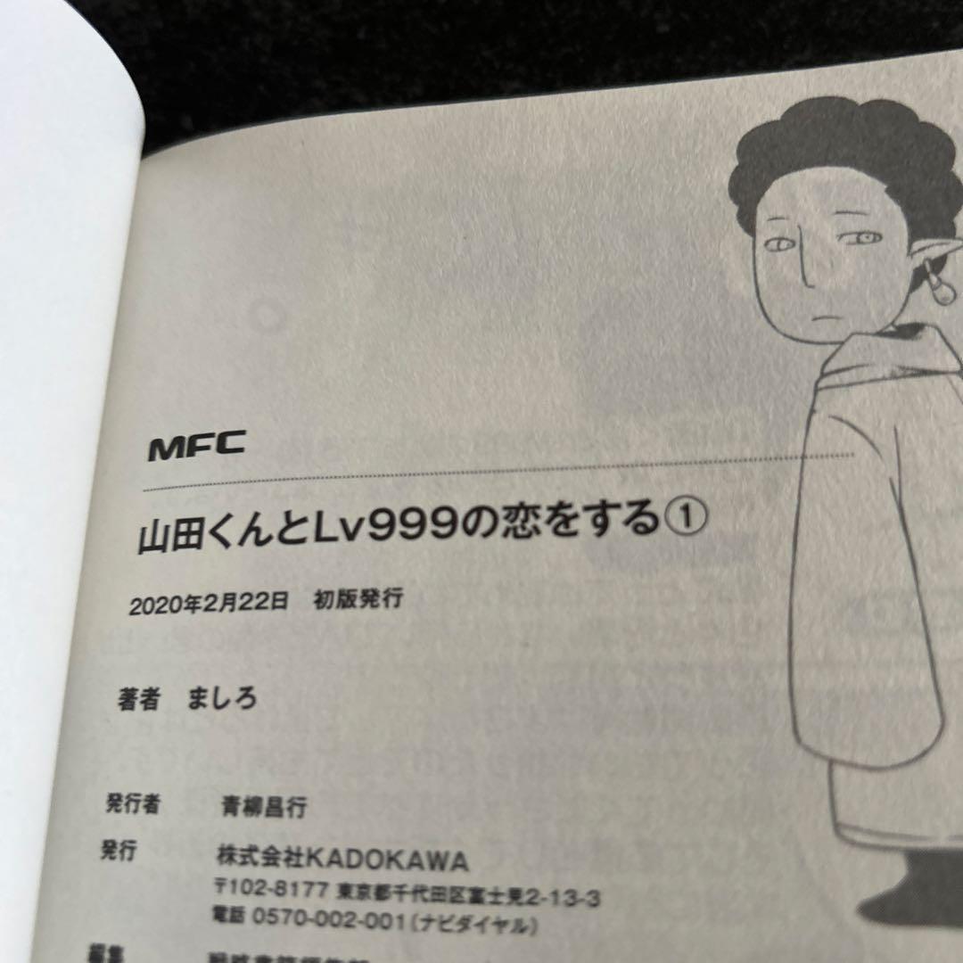 山田くんとLV999の恋をする　1巻　2巻　初版　特典　イラストペーパー