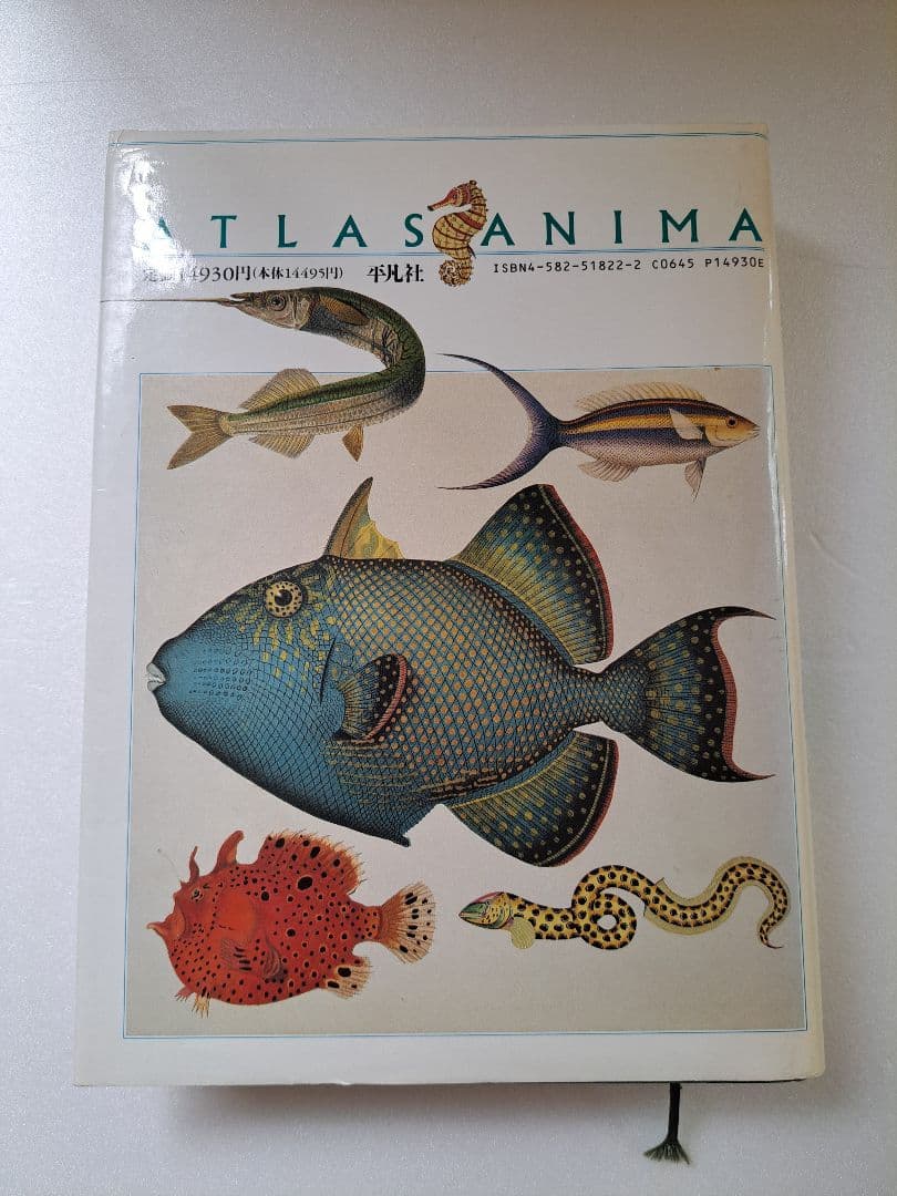 世界大博物 魚類図鑑 2