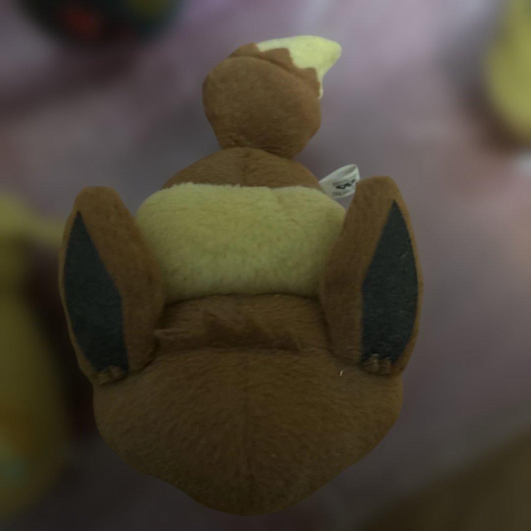 【とりちゃん】ポケモンころりんブイズ9種セット