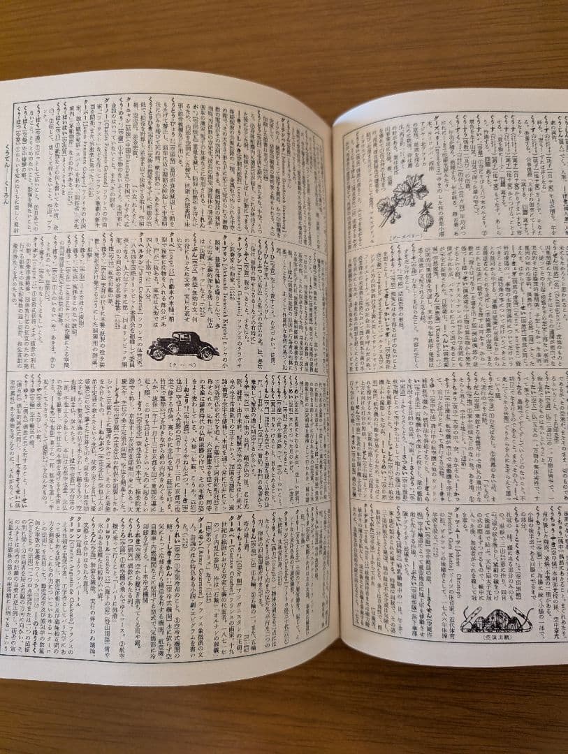 希少　広辞苑　第一版第四刷　昭和31年　新村出編