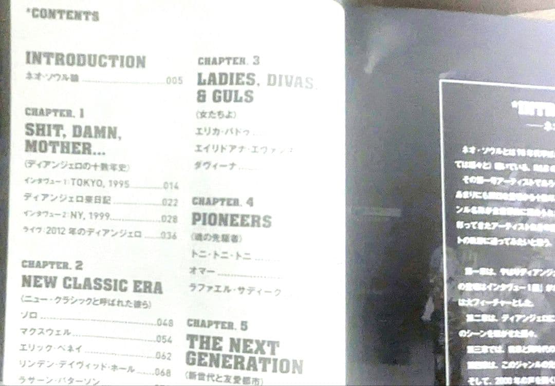廃刊・初版 「ディアンジェロとネオ・ソウル」本 D'Angelo bmr編集