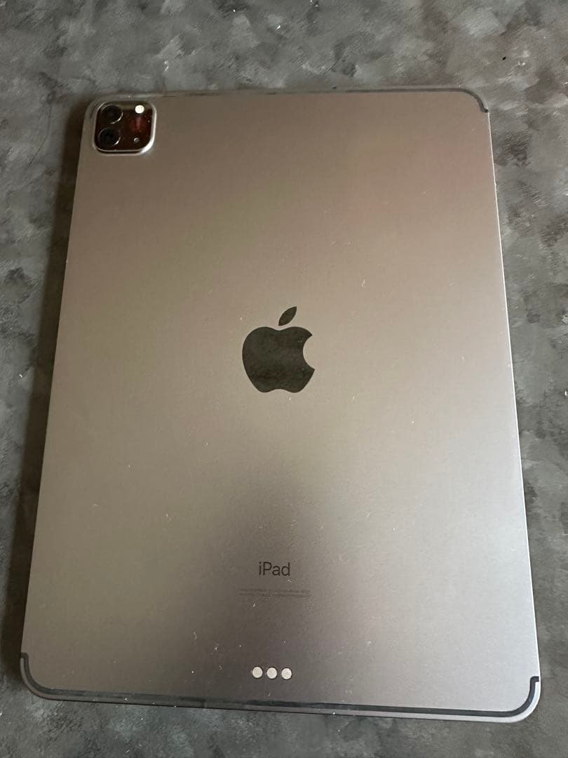Apple iPad pro11インチ(2世代)256G技術仕様