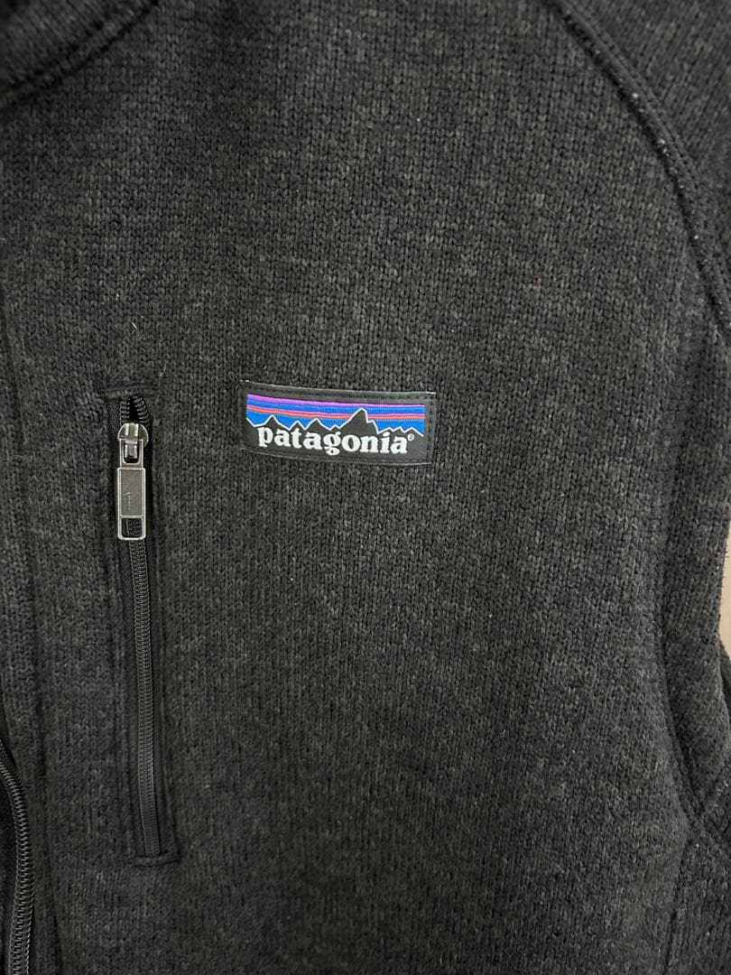 patagonia ベターセーターベスト Heartland刺繍