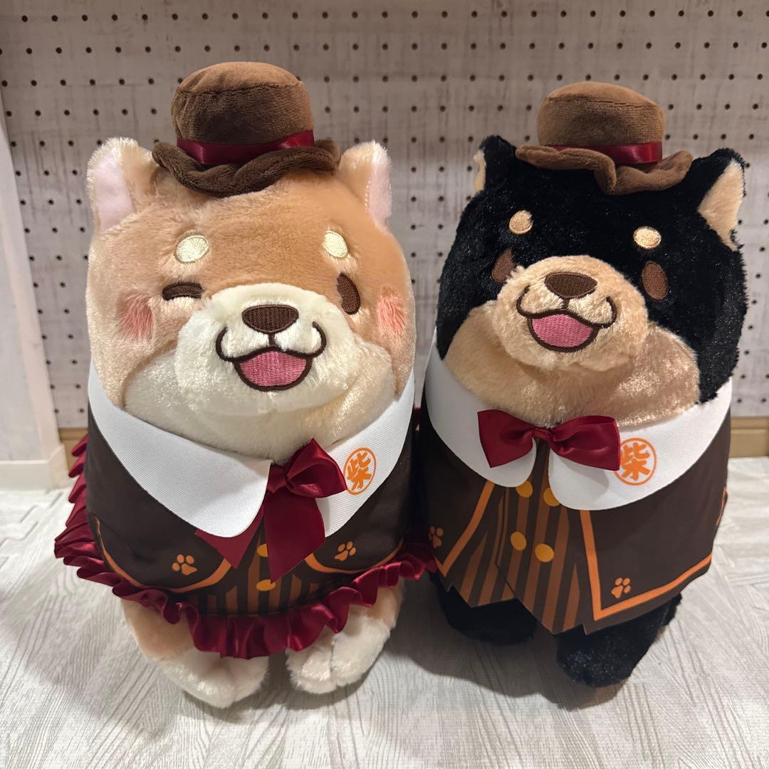 忠犬もちしば　さくら・もなかバースデー　クラシカルBIGぬいぐるみ　コンプセット
