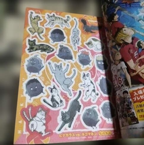 ハイキュー