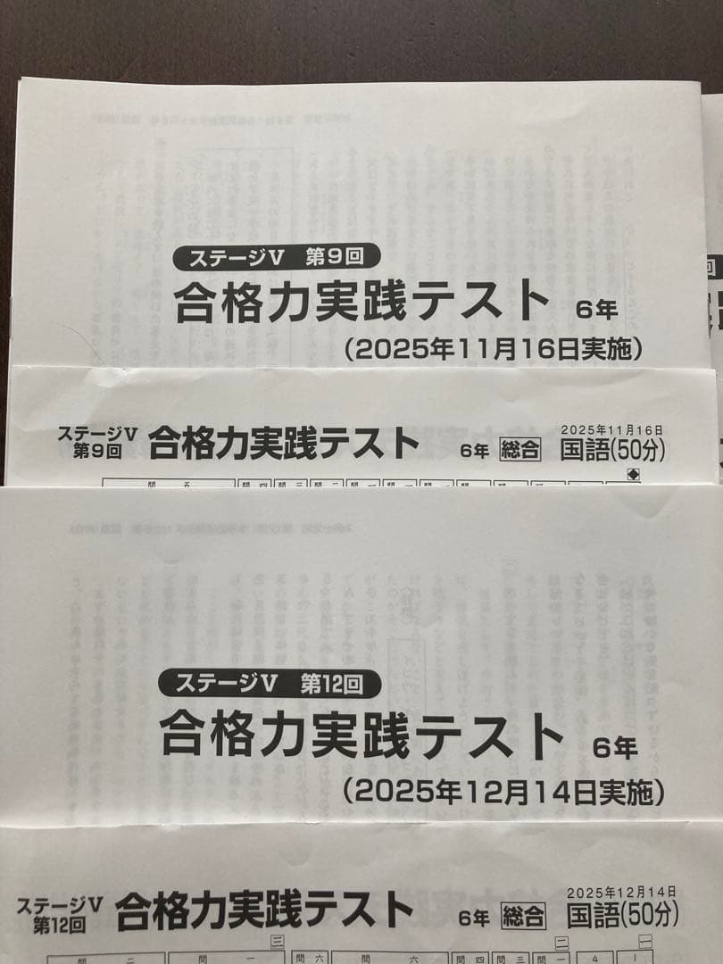 日能研　2025年　6年　後期　育成テスト　実践テスト
