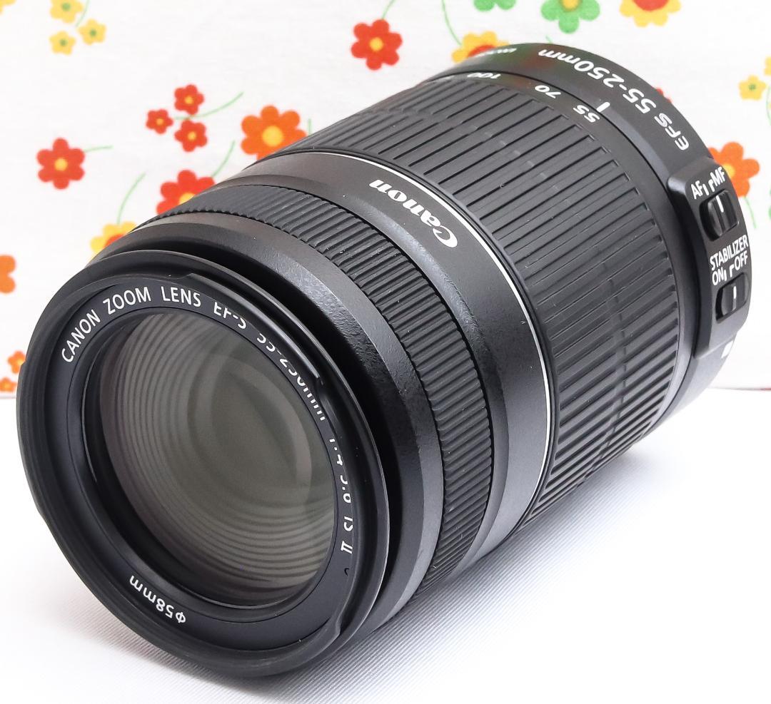 Canon EF-S 55-250mm IS Ⅱ☆手振れ補正☆望遠レンズ