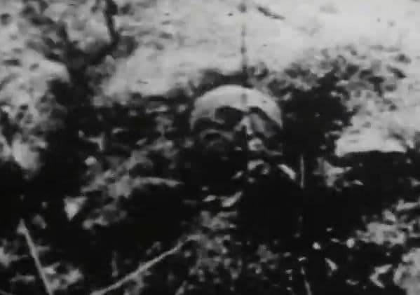 BEGOTTEN DVD ホラー グロテスク スプラッター
