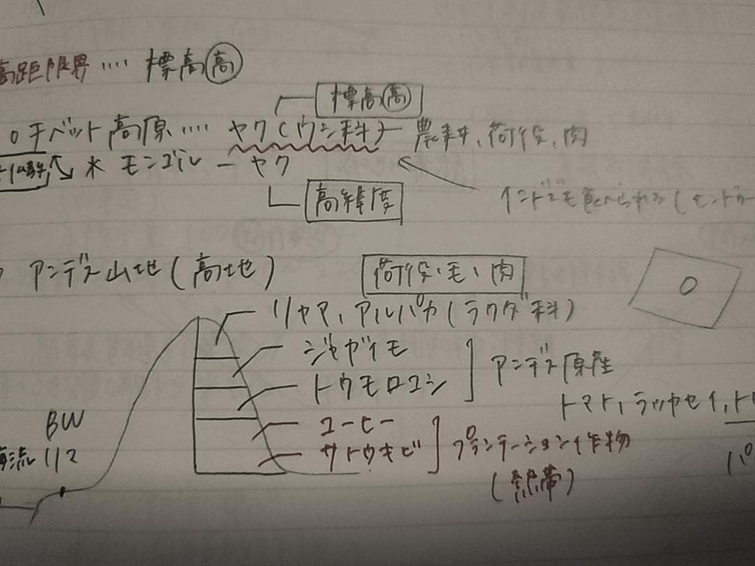 駿台の24年通期井上先生による地理学習ノートフルセット　鉄緑会　河合塾