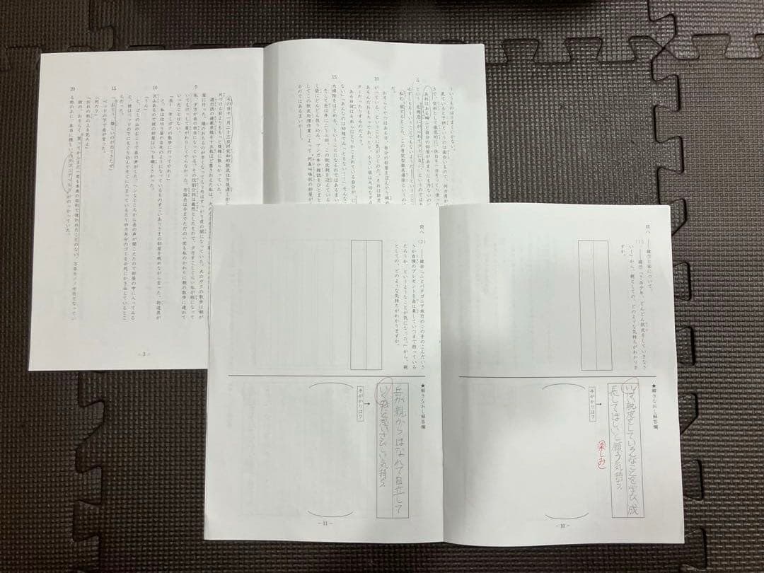 サピックス 5年 国語 小５ 1-37 全授業 一式 2023年受験　言葉ナビ