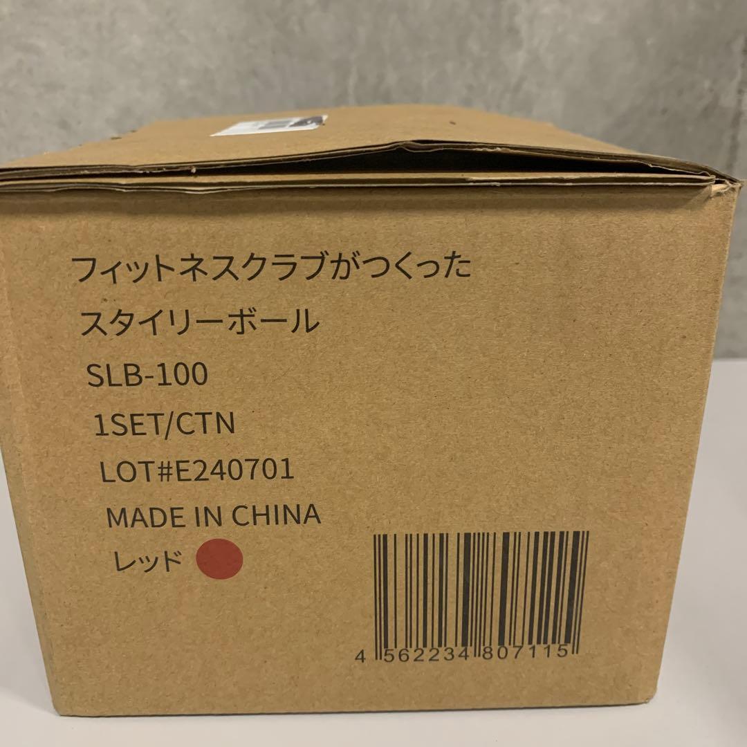 フィットネスクラブ スタイリーボール 振動 筋トレ ストレッチ SLB-100
