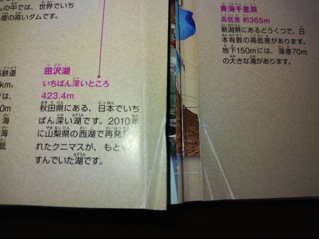 図鑑 & 事典 まとめ売り 20冊セット 小学生